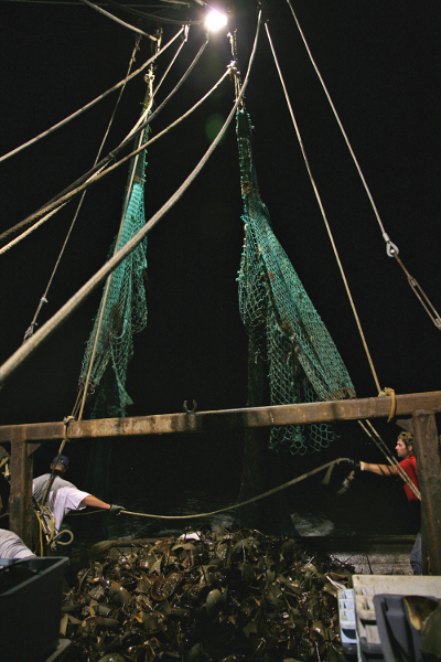 Swingers in chincoteague virginia