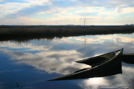Boat o\' Dreams