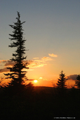 Dolly Sods
