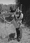 Hauling Wood