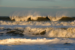 Noel Waves3