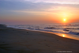 Ocean Sunrise 2007