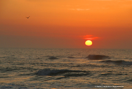 Sunrise from Assateague Beach